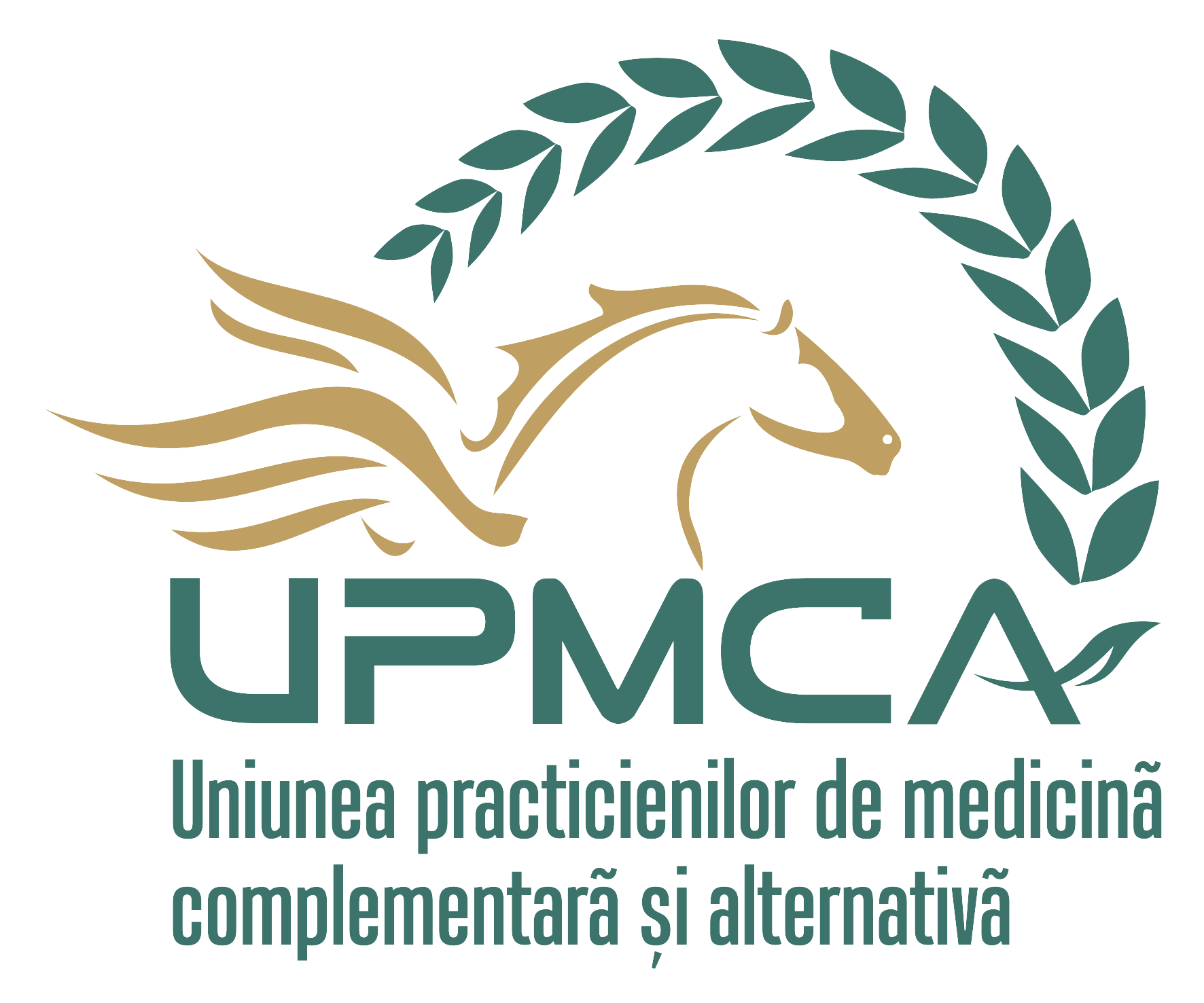 Formare profesionala - UPMCA